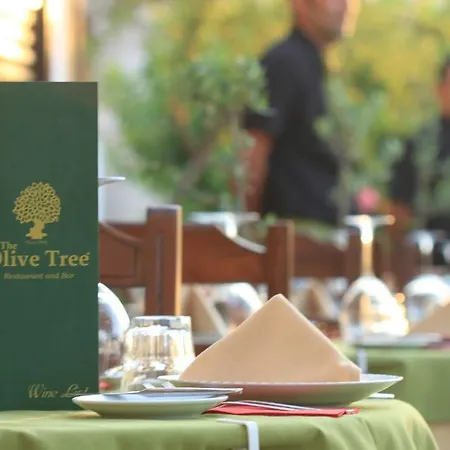 The Olive Tree (adults Only) Hotell Öludeniz
