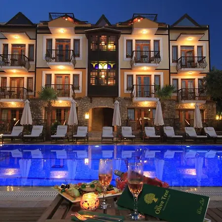 The Olive Tree (adults Only) Hotell 3*