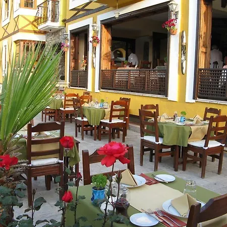 Hotell The Olive Tree (adults Only)