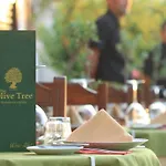 The Olive Tree (adults Only) Hotel Oludeniz