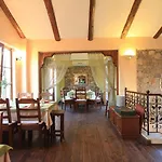 The Olive Tree (adults Only)
