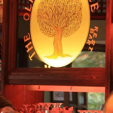 The Olive Tree (adults Only) Отель 3*