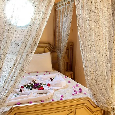 The Olive Tree (adults Only) 3*