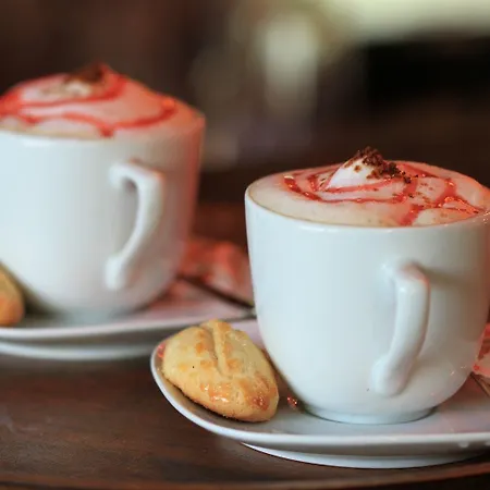 Hotel The Olive Tree (adults Only) 3*