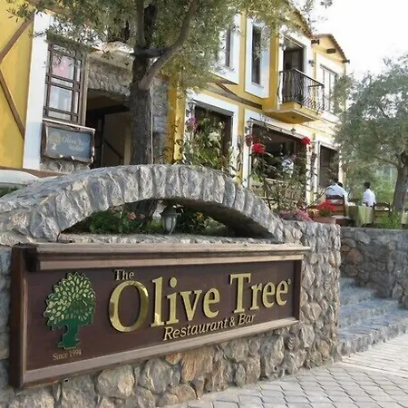 The Olive Tree (adults Only) אולודניץ