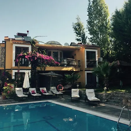 Отель The Olive Tree (adults Only)