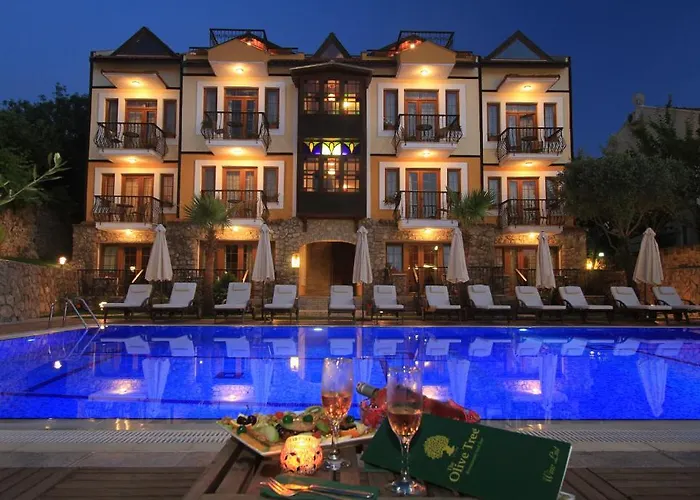 The Olive Tree (adults Only) Szálloda 3*