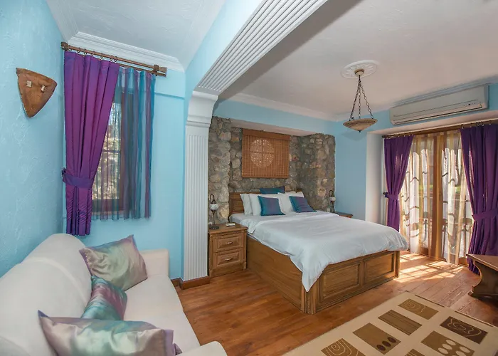 The Olive Tree (adults Only) אולודניץ