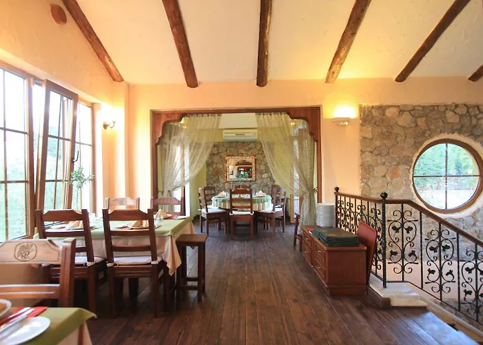 The Olive Tree (adults Only)