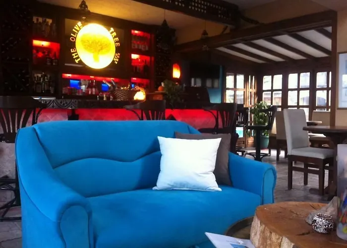 The Olive Tree (adults Only) Szálloda 3*