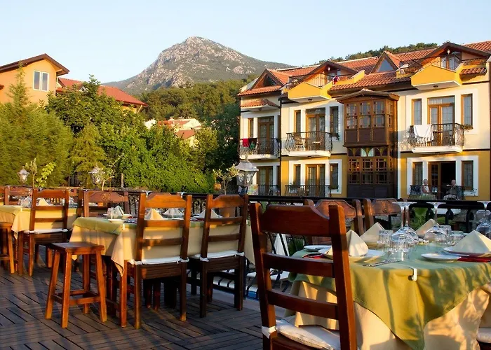 The Olive Tree (adults Only)