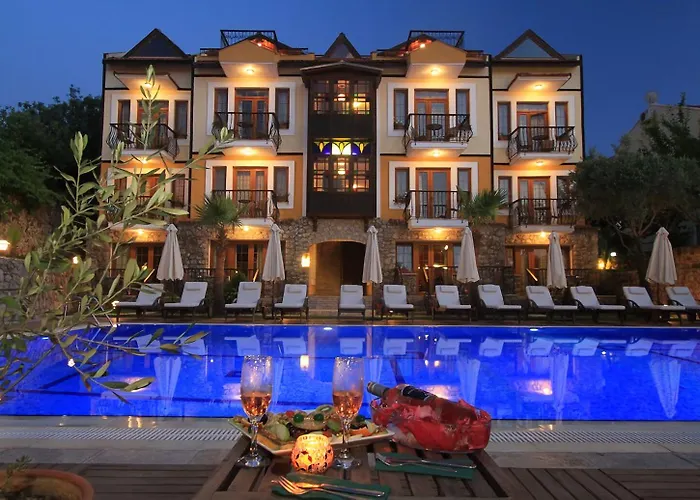 The Olive Tree (adults Only) אולודניץ