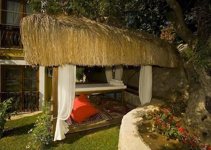 The Olive Tree (adults Only) Oludeniz