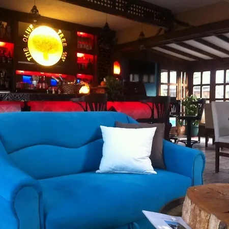 The Olive Tree (adults Only) Hotel 3*