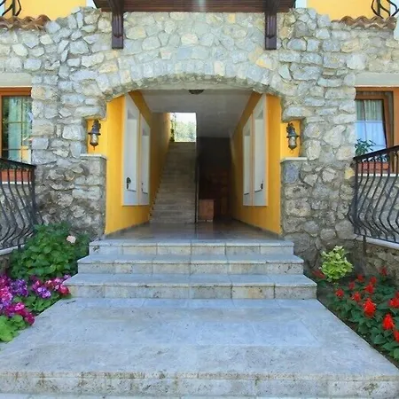 The Olive Tree (adults Only)