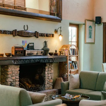 The Olive Tree (adults Only) Hotel 3*