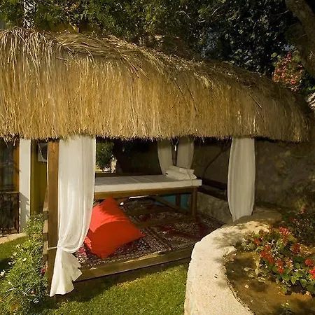 The Olive Tree (adults Only) Ολουντενίζ