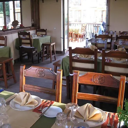 Hotel The Olive Tree (adults Only) Oludeniz