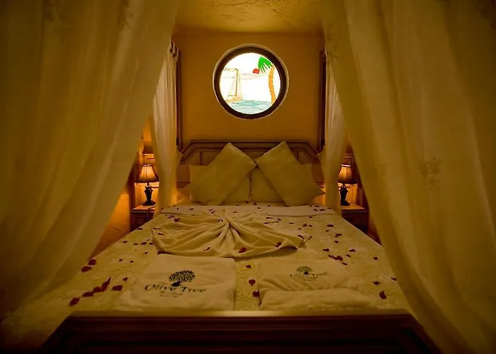 The Olive Tree (adults Only) Szálloda 3*