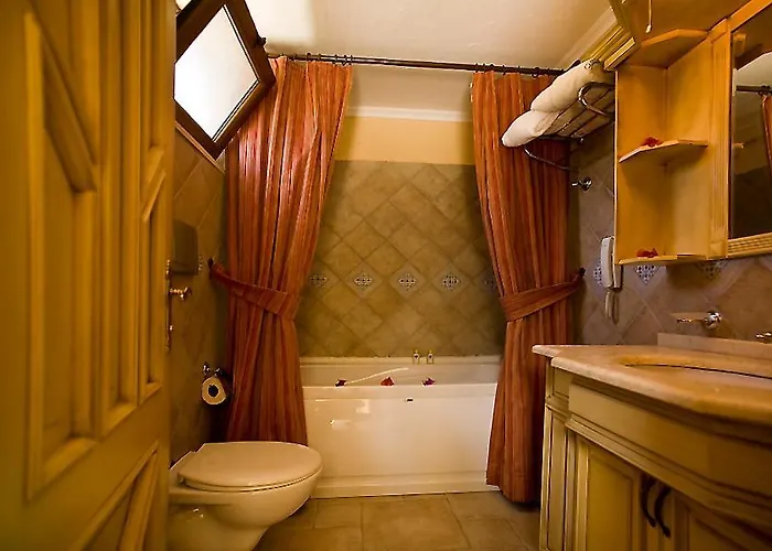 The Olive Tree (adults Only)