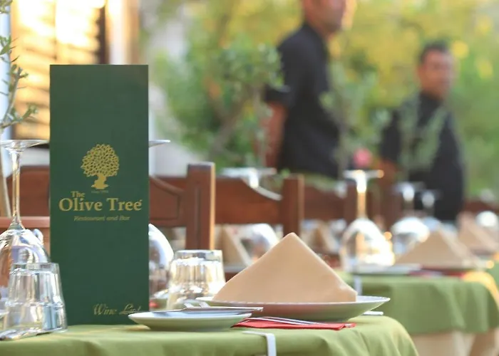 The Olive Tree (adults Only) Szálloda Oludeniz
