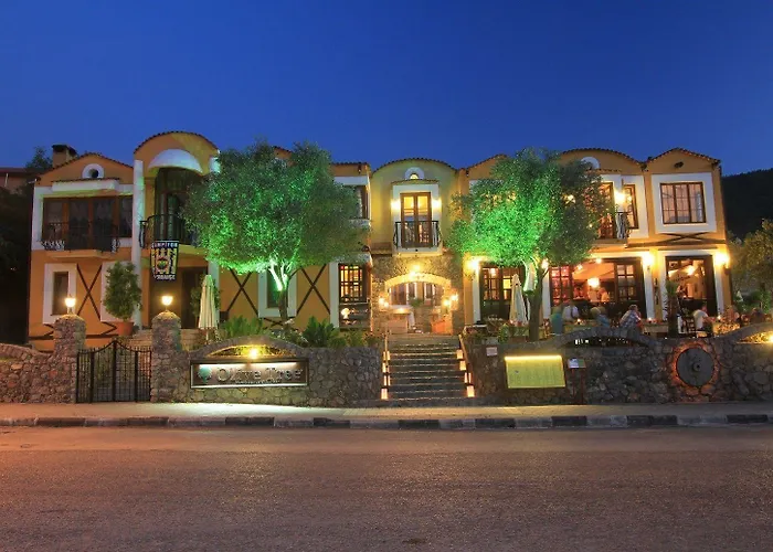 The Olive Tree (adults Only) 厄吕代尼兹