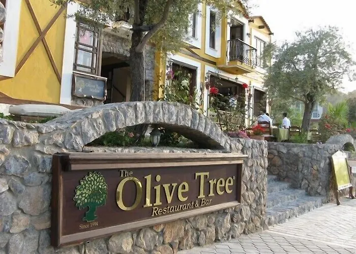 The Olive Tree (adults Only) Oludeniz