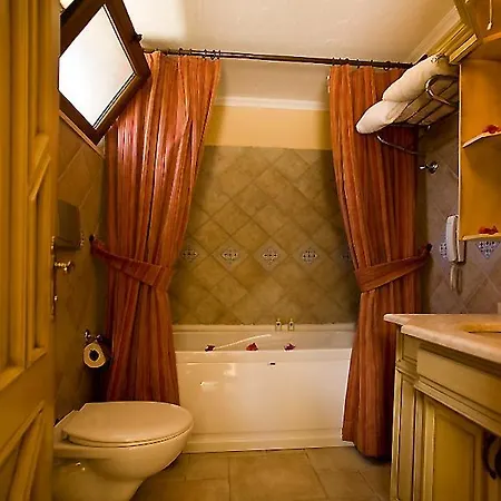 The Olive Tree (adults Only)