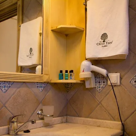 The Olive Tree (adults Only) Ολουντενίζ
