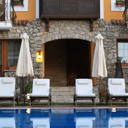 The Olive Tree (adults Only)