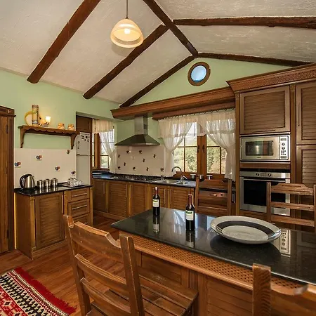 The Olive Tree (adults Only) Ολουντενίζ