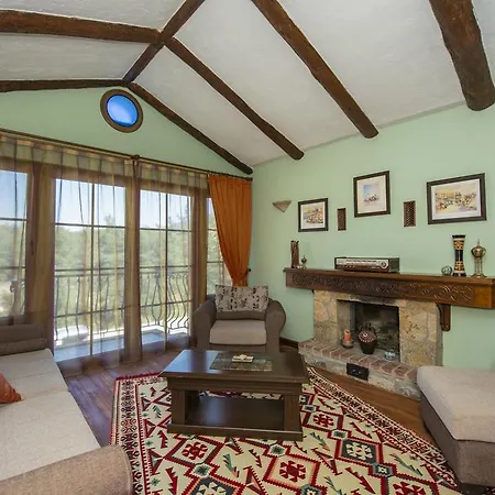 The Olive Tree (adults Only)